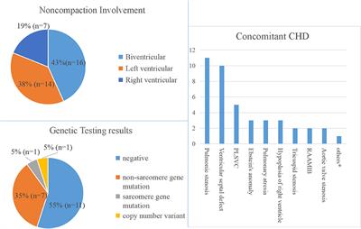 Genetics and Clinical Features of Noncompaction Cardiomyopathy in the Fetal Population